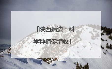 陕西靖边：科学种植促增收