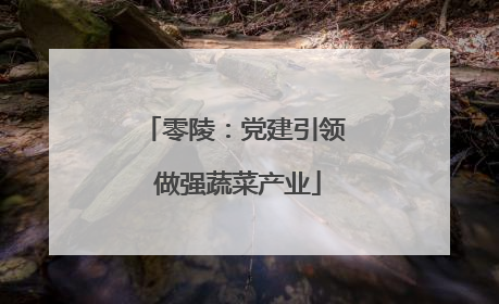 零陵：党建引领 做强蔬菜产业