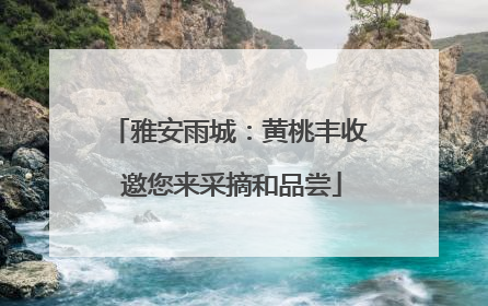 雅安雨城：黄桃丰收 邀您来采摘和品尝