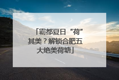 霸都夏日“荷”其美？解锁合肥五大绝美荷塘