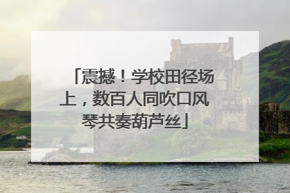 震撼！学校田径场上，数百人同吹口风琴共奏葫芦丝