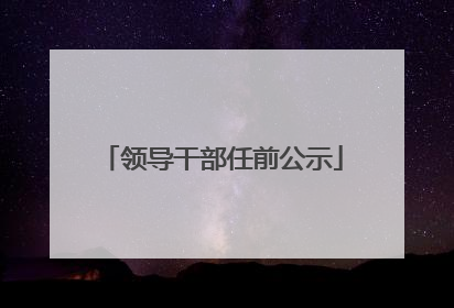 领导干部任前公示