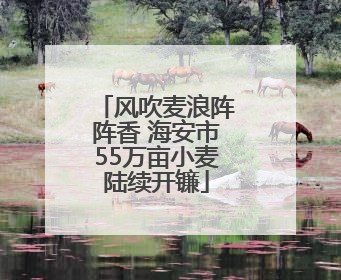 风吹麦浪阵阵香 海安市55万亩小麦陆续开镰