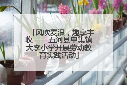 风吹麦浪，趣享丰收——五河县申集镇大李小学开展劳动教育实践活动