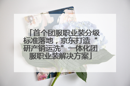 首个团服职业装分级标准落地，京东打造“研产销运洗”一体化团服职业装解决方案