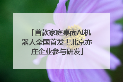 首款家庭桌面AI机器人全国首发！北京亦庄企业参与研发