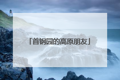 首钢园的高原朋友