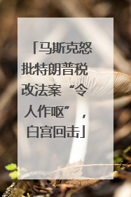 马斯克怒批特朗普税改法案“令人作呕”，白宫回击