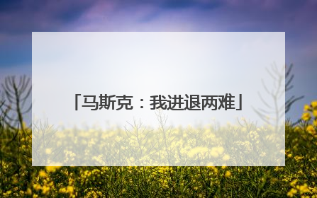 马斯克：我进退两难