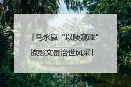 马永嬴“以陵窥政” 掠影文景治世风采