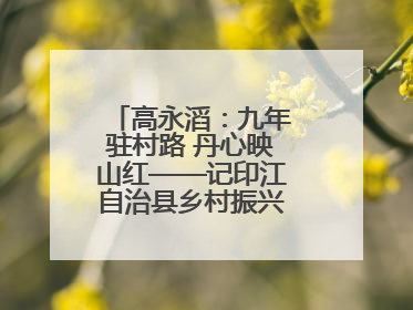 高永滔：九年驻村路 丹心映山红——记印江自治县乡村振兴“续航者”