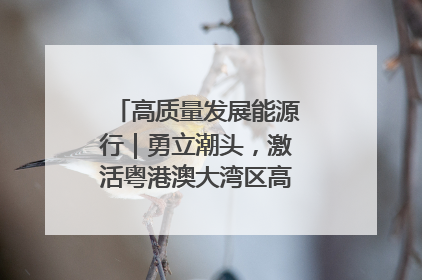 高质量发展能源行｜勇立潮头，激活粤港澳大湾区高质量发展动力源