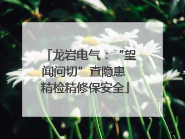 龙岩电气：“望闻问切”查隐患 精检精修保安全