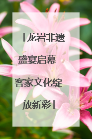 龙岩非遗盛宴启幕 客家文化绽放新彩