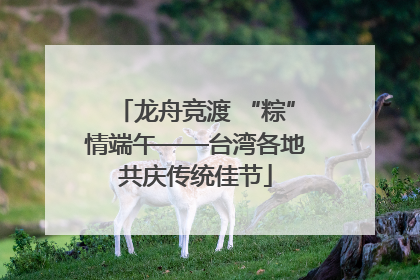 龙舟竞渡 “粽”情端午——台湾各地共庆传统佳节