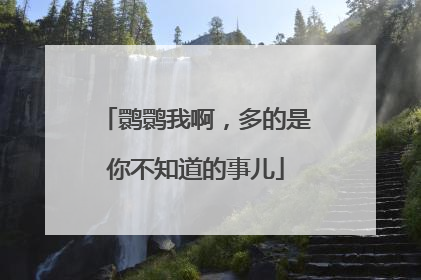 鹮鹮我啊，多的是你不知道的事儿