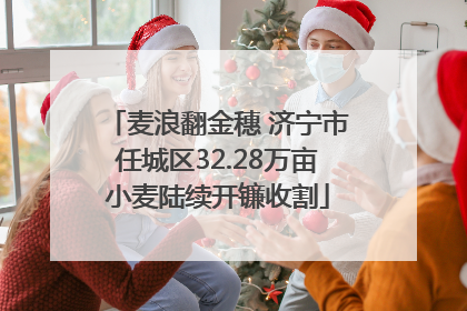 麦浪翻金穗 济宁市任城区32.28万亩小麦陆续开镰收割