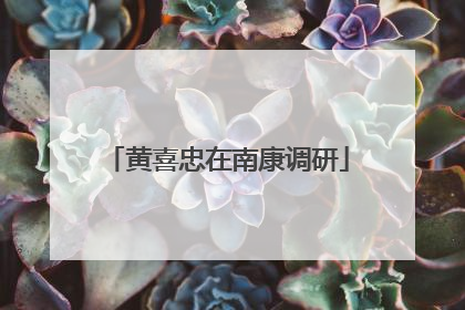 黄喜忠在南康调研