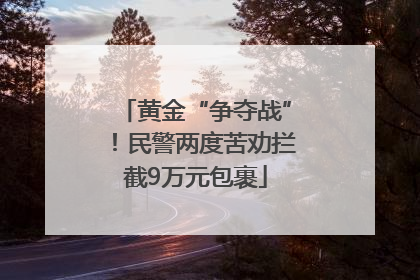 黄金“争夺战”！民警两度苦劝拦截9万元包裹