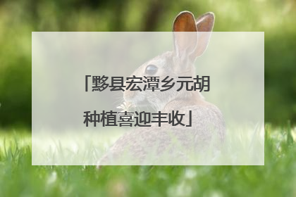 黟县宏潭乡元胡种植喜迎丰收