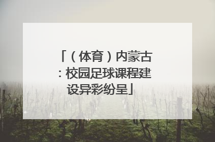 （体育）内蒙古：校园足球课程建设异彩纷呈