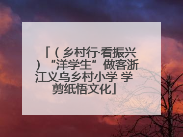 （乡村行·看振兴）“洋学生”做客浙江义乌乡村小学 学剪纸悟文化