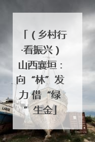 （乡村行·看振兴）山西襄垣：向“林”发力 借“绿”生金