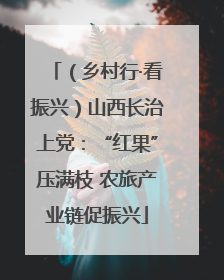 （乡村行·看振兴）山西长治上党：“红果”压满枝 农旅产业链促振兴