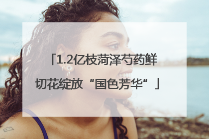 1.2亿枝菏泽芍药鲜切花绽放“国色芳华”