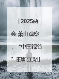 2025两会·萧山观察：“中国视谷”的新江湖