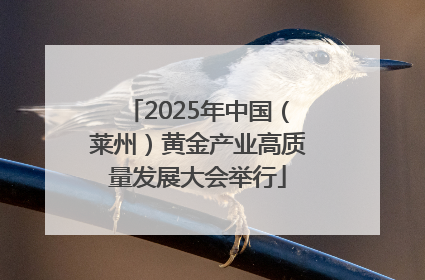2025年中国（莱州）黄金产业高质量发展大会举行