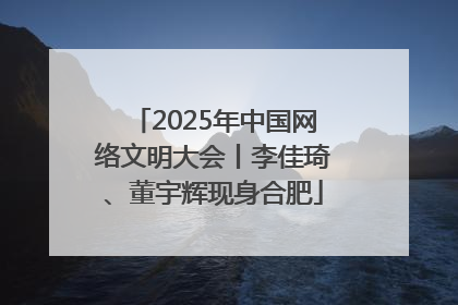 2025年中国网络文明大会丨李佳琦、董宇辉现身合肥