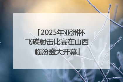 2025年亚洲杯飞碟射击比赛在山西临汾盛大开幕