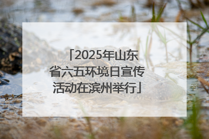 2025年山东省六五环境日宣传活动在滨州举行