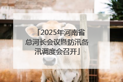 2025年河南省总河长会议暨防汛备汛调度会召开