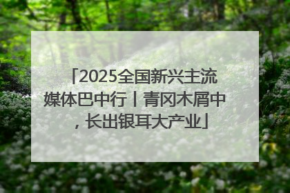 2025全国新兴主流媒体巴中行丨青冈木屑中，长出银耳大产业
