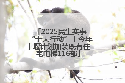 2025民生实事“十大行动”丨今年十堰计划加装既有住宅电梯116部