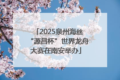 2025泉州海丝“源昌杯”世界龙舟大赛在南安举办