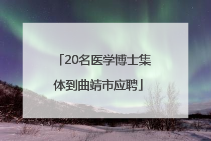 20名医学博士集体到曲靖市应聘