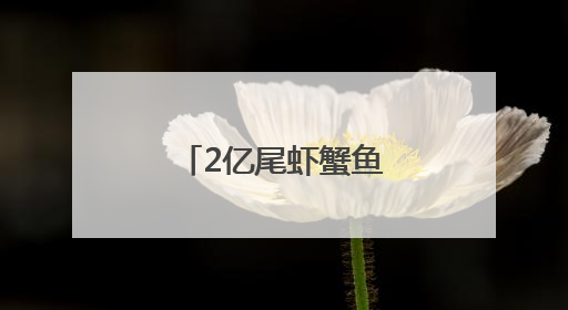 2亿尾虾蟹鱼苗将游入大海