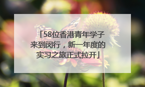 58位香港青年学子来到闵行，新一年度的实习之旅正式拉开