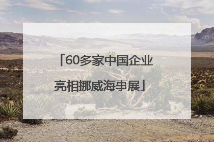 60多家中国企业亮相挪威海事展
