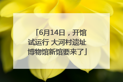 6月14日，开馆试运行 大河村遗址博物馆新馆要来了