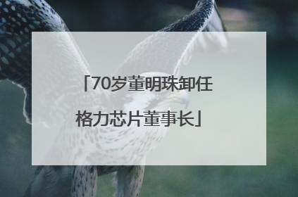 70岁董明珠卸任格力芯片董事长