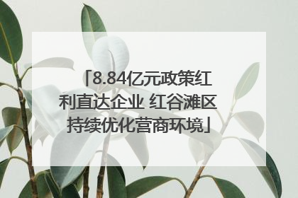 8.84亿元政策红利直达企业 红谷滩区持续优化营商环境