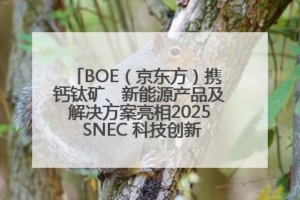 BOE（京东方）携钙钛矿、新能源产品及解决方案亮相2025 SNEC 科技创新赋能行业绿色发展